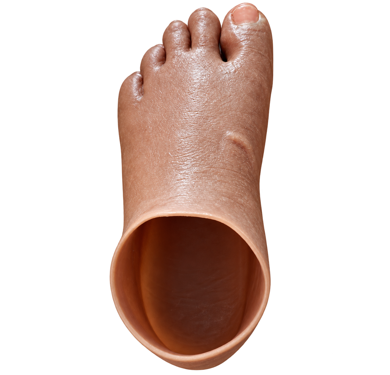 Toe Prosthesis View 2
